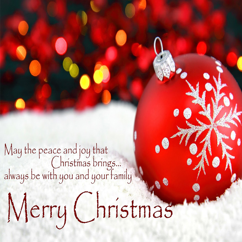 Wishing you a very Merry Christmas! - Alentasia
