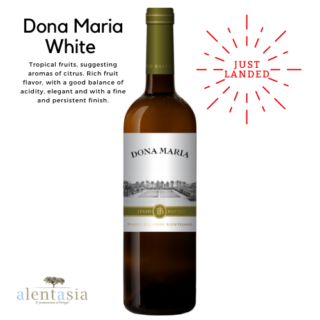 Dona Maria White 2019